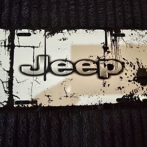 Full-Size License Plate